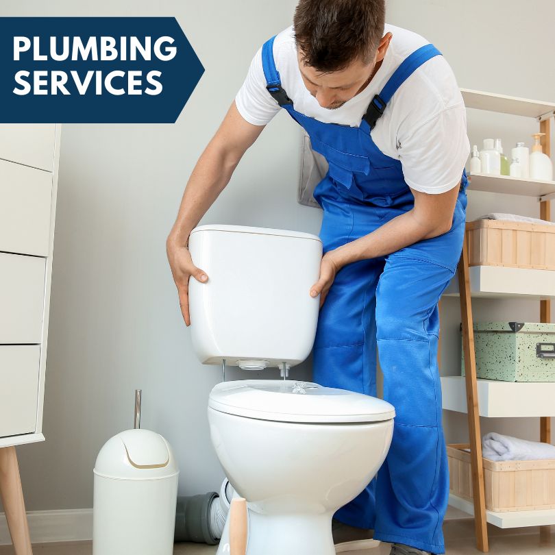 Plumbing Company in Dieterich, IL